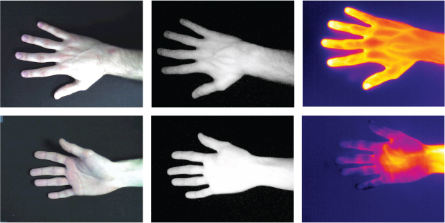 Tecnocampus Hand Image Database